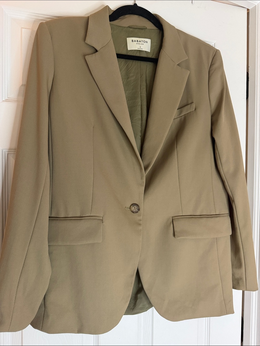 Aritzia Blazer